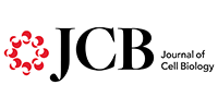 Journal-of-Cell-Biology-Logo-200x100